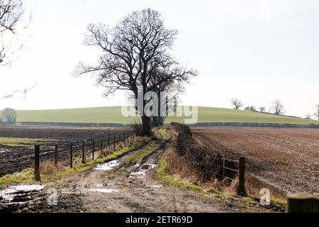 Newshot Island Renfrewshire Stockfoto