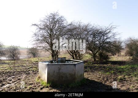 Newshot Island Renfrewshire Stockfoto