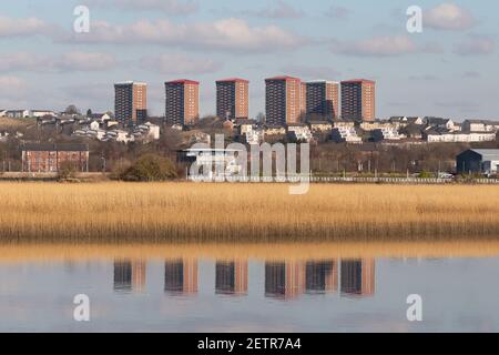 Newshot Island Renfrewshire Stockfoto