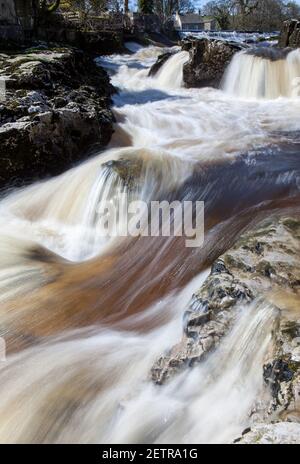 Linton Falls, ein landschaftlich reizvoller Wasserfall am Fluss Wharfe bei Grassington in den Yorkshire Dales Stockfoto
