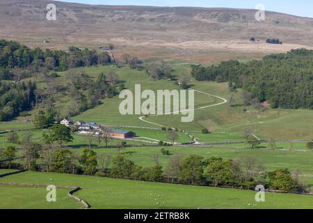 Blick auf Redmire, eine Yorkshire Dales Farm in der Nähe von Buckden in Upper Wharfedale Stockfoto