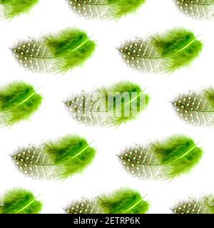 Nahtloses Muster grüne Federn isoliert auf weißem Hintergrund. Hochwertige Fotos Stockfoto