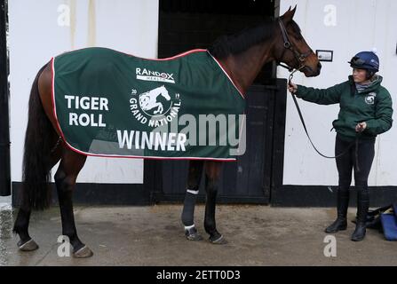 Datei Foto vom 27-11-2019 von zwei Mal Grand National Gewinner Tiger Roll mit Bräutigam Louise Magee. Ausgabedatum: Dienstag, 2. März 2021. Stockfoto