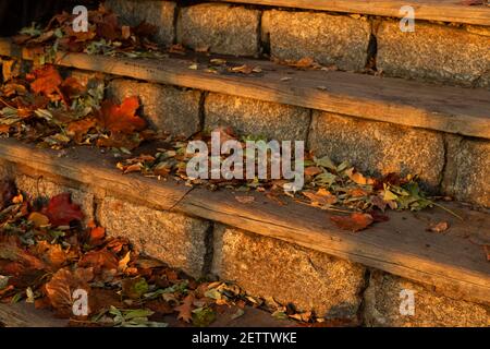 Alte Steintreppen mit Holztreppen, die im Morgenlicht mit Blättern bedeckt sind. Stockfoto