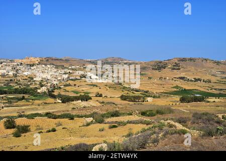 Terrassierte Felder und Hügel in der Landschaft von Gozo im Mittelmeer im Sommer. Malta Stockfoto