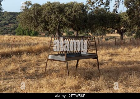 Viehfutter, im Süden Andalusiens Spanien. Stockfoto