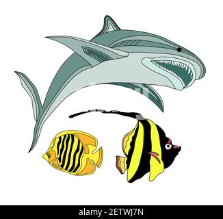 FISCH DES ATLANTISCHEN OZEANS. VEKTORGRAFIK UNTERWASSERWELT. HAI, GESTREIFTE KLEINE FISCHE. AQUARIUM Stock Vektor