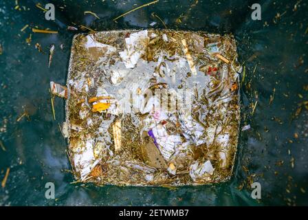 Papierholz Mulch Stockfoto