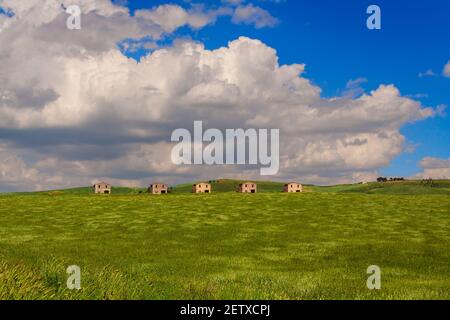 FRÜHLING.Zwischen Apulien und Basilikata. Hügelige Landschaft mit Maisfeld unreif, dominiert von Wolken.im Hintergrund Bauernhöfe und Bauernhäuser, ITALIEN. Stockfoto