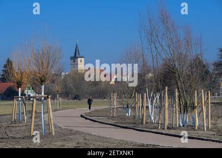 Beelitz, Deutschland. März 2021, 02nd. Eine junge Frau geht auf dem Gelände des künftigen Bogengartens der Landesgartenschau (LAGA) einen Weg vor der Kulisse der Stadtpfarrkirche St. Marien und St. Nikolai zwischen neu gepflanzten Bäumen entlang. Am Nachmittag will Brandenburgs Landwirtschaftsminister Vogel über den Stand der Vorbereitungen für die Landesgartenschau berichten. Quelle: Soeren Stache/dpa-Zentralbild/dpa/Alamy Live News Stockfoto