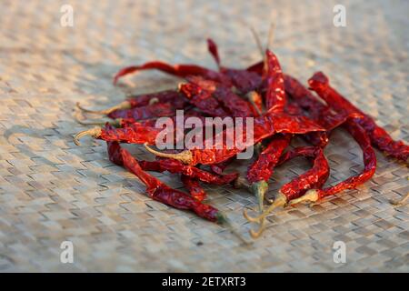Indische Frau Handpudering indische Gewürze Red Chilly, Chili Paprika Pulver Spritz Explosion mit Steinmörtel indische Küche Kerala Indien Sri Lanka Stockfoto
