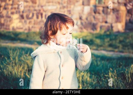 Netter kleiner Junge mit Löwenzahn im Freien bei Sonnenuntergang. Stockfoto