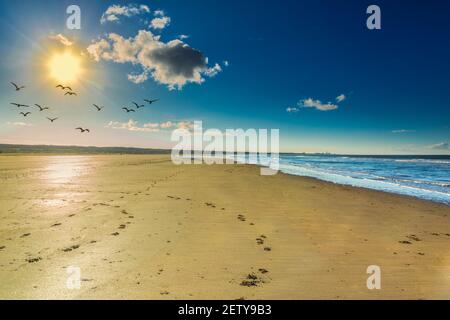 Landschaft einsamen Strand in hellen Licht und ruhigen Meer und Surfen Sie gegen niedrige helle aufgehende Sonne mit Sonnenstrahlen und Eine einzige Wolke mit einem Flug wie shado Stockfoto
