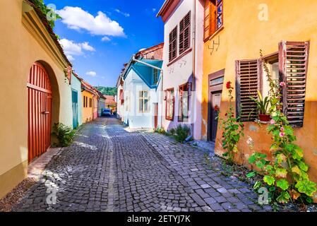 Sighisoara, Rumänien. Berühmte gepflasterte alte Straßen mit bunten Häusern in der mittelalterlichen Stadt-Festung in Siebenbürgen, Europa Stockfoto