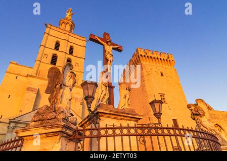 Avignon, Frankreich. Die päpstliche Kathedrale in der mittelalterlichen Stadt der heutigen Region Provence. Stockfoto