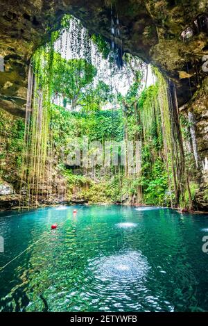 Ik-Kil Cenote, Mexiko. Schöne Cenote in Yucatan Peninsula mit transparentem Wasser und hängenden Wurzeln. Chichen Itza, Mittelamerika. Stockfoto
