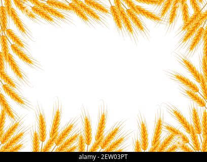 Weizenrahmen mit Platz für Text. Vorlage für Ihr Design. Vektorgrafik Stock Vektor