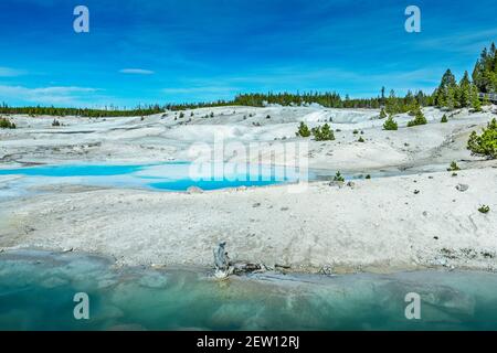 Das Midway Geyser Basin, eine der farbenfrohen heißen Quellen von Yellowstone Stockfoto