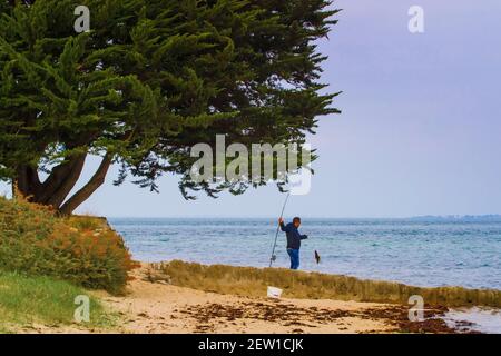 Frankreich, Vendée (85), île de Noirmoutier, Noirmoutier-en-l'Ile, pêcheur à la ligne sur la Plage du Vieil sous un PIN maritime Stockfoto