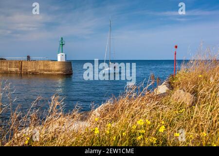 Frankreich, Vendée (85), île de Noirmoutier, Noirmoutier-en-l'Ile, voilier entrant dans le Port de l'Herbaudière entre deux balises latérales Stockfoto