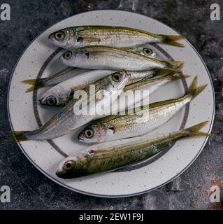 Von oben von ungekochten Fischen mit Schwänzen und Augen an Runde Platte auf Tisch Stockfoto
