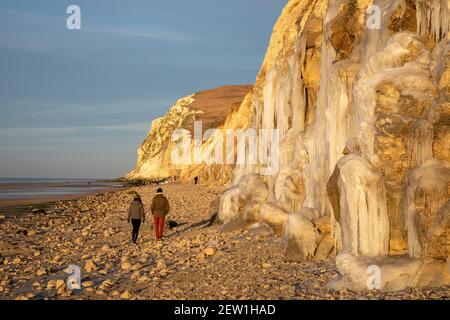 Frankreich, Pas de Calais, Cote d'Opale, Parc naturel regional des Caps et Marais d'Opale, Cap Blanc Nez, Kreidefelsen mit Stalaktiten bedeckt Stockfoto