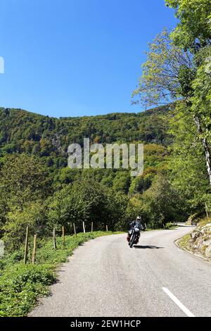 Frankreich, Haut Rhin, Route des Crêtes (Wasserscheide) in der Nähe des Ballon d' Alsace Pass (1241 m), im Hintergrund der Ballon d' Alsace (Territoire de Belfort) Stockfoto