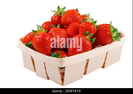 Frische reife rote Erdbeeren in einem Holzkorb auf weißem, isoliertem Hintergrund. Stockfoto