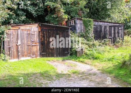 Alte hölzerne Heden auf Beeston Brow, Bollington, Cheshire Stockfoto