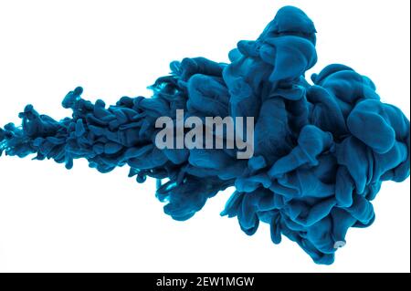 Blaue Acrylfarbe in Wasser auf weißem isolierten Hintergrund gefrorene Bewegung sehr nah. Abstrakter Hintergrund, Farbexplosion Stockfoto