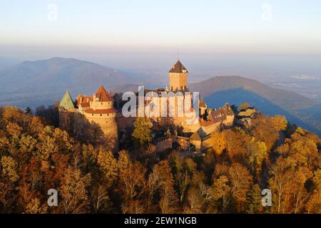 Frankreich, Bas Rhin, Alsace Wein Straße, Orschwiller, Haut Koenigsbourg Schloss am Fuße der Vogesen und mit Blick auf die Ebene des Elsass, mittelalterliche Burg aus dem 12. Jahrhundert, Es ist eingestuft als historisches Denkmal (Luftbild) Stockfoto