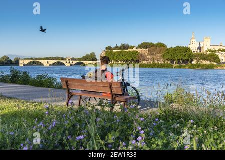 Frankreich, Vaucluse, Avignon, ViaRhôna, Radler, die eine Pause auf dem Chemin des Berges mit der Saint Benezet Brücke über die Rhône aus dem 12th. Jahrhundert, als UNESCO-Weltkulturerbe eingestuft, und die Doms Kathedrale aus dem 12th. Jahrhundert Stockfoto