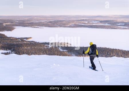 Finlande, Lappland, Kittila, Schneeschuhwanderung in der Taiga des Pallas-Yllästunturi National Park bei Sonnenaufgang Stockfoto