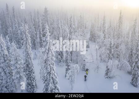 Finlande, Lappland, Kittila, Schneeschuhwanderung in der Taiga des Pallas-Yllästunturi Nationalparks (Luftaufnahme) Stockfoto