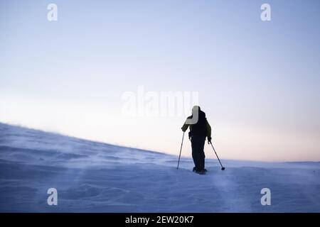 Finlande, Lappland, Kittila, Schneeschuhwanderung in der Taiga des Pallas-Yllästunturi National Park bei Sonnenaufgang Stockfoto