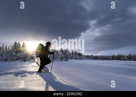 Finlande, Lappland, Kittila, Schneeschuhwanderung in der Taiga des Pallas-Yllästunturi National Park Stockfoto