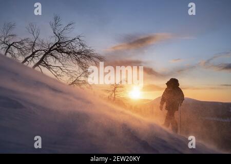 Finlande, Lappland, Kittila, Schneeschuhwanderung in der Taiga des Pallas-Yllästunturi National Park bei Sonnenaufgang Stockfoto