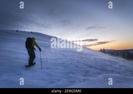 Finlande, Lappland, Kittila, Schneeschuhwanderung in der Taiga des Pallas-Yllästunturi National Park bei Sonnenaufgang Stockfoto