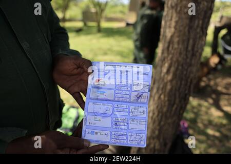 Tansania, Serengeti Nationalpark, Ikoma, Serengeti Einheit K9, jeder Hund hat seinen Pass mit seinem Impfpass Stockfoto