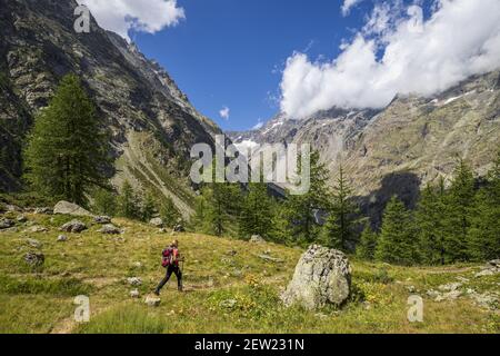 Frankreich, Hautes-Alpes, Ecrins Nationalpark, Wanderung zurück vom Bosse de Clapouse, Mont Pelvoux im Hintergrund Stockfoto