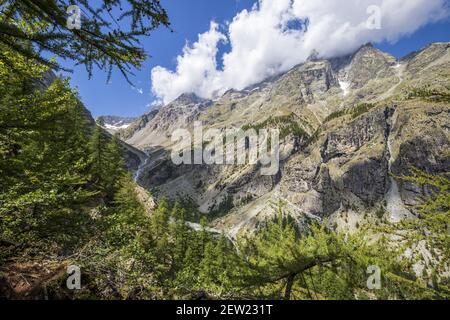 Frankreich, Hautes-Alpes, Nationalpark Ecrins, das Tal von Else Nière und Mont Pelvoux Stockfoto