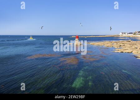 Frankreich, Finistère (29), Pays Bigouden, Le Guilvinec, Premier Port de pêche artisanale de France, 10h15 : L'Appel du large, au Milieu des eaux turquoises Stockfoto