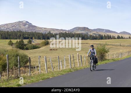 Frankreich, Puy-de-Dome, regionaler Naturpark der Vulkane der Auvergne, auf der Hochebene des Pavin-Sees, Radtour Stockfoto