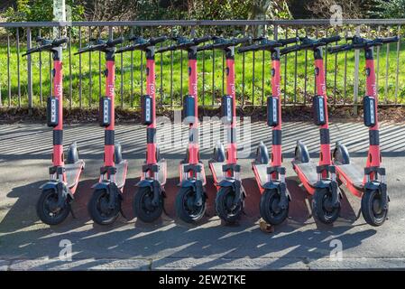 Reihe von 8 voi. Elektro-Scooter warten auf Miete in Edgbaston, Birmingham, Großbritannien Stockfoto