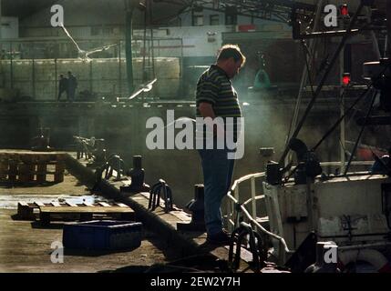 Ein Fischer beobachtet den Primrose Trawler Juni 1998 Vorbereitung Verlassen Sie den Hafen in Mallaig an der Nordwestküste Schottlands An dem Tag, an dem 4 Bodys nach dem gefunden wurden Silbrig kollidierte mit dem deutschen Untersetzer Merkur Stockfoto