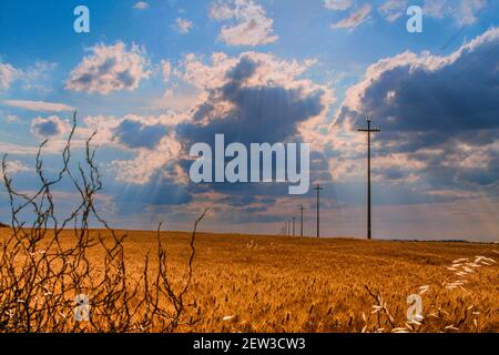 LÄNDLICHE LANDSCHAFT SOMMER.Zwischen Apulien und Basilicata: Landschaft mit Kornfeld im Schatten von Wolken.ITALIEN Stockfoto