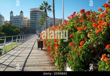 Nicht erkennbare Menschen gehen entlang der Blumenbrücke oder Puente de las Flores. Die farbenfrohe Brücke, die die beiden Seiten der Stadt Valencia überquert. Sk Stockfoto