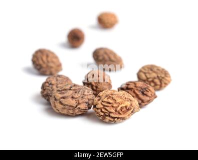 Samen oder Steine Ziziphus jujuba, allgemein Jujube genannt. Isoliert auf Weiß Stockfoto