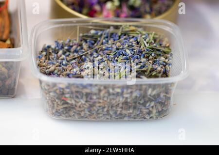 Die Knospen der getrockneten blauen Lavendelblüten liegen in einer Plastikbox. Aromatherapie Stockfoto