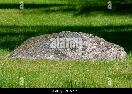 Im Gras auf dem Rasen liegt ein großer grauer, von hellem Sonnenlicht erleuchteter, mit Moos bedeckter Felsblock. Stockfoto